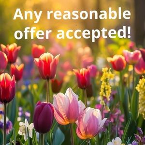 Any Reasonable Offer Accepted!